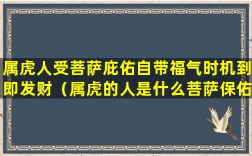 属虎人受菩萨庇佑自带福气时机到即发财（属虎的人是什么菩萨保佑）