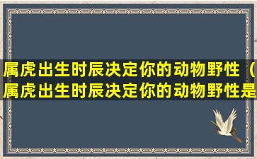 属虎出生时辰决定你的动物野性（属虎出生时辰决定你的动物野性是什么）