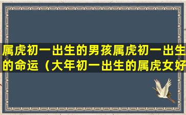 属虎初一出生的男孩属虎初一出生的命运（大年初一出生的属虎女好吗）