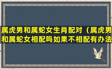 属虎男和属蛇女生肖配对（属虎男和属蛇女相配吗如果不相配有办法解决吗）