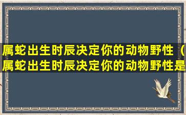 属蛇出生时辰决定你的动物野性（属蛇出生时辰决定你的动物野性是什么）