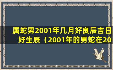 属蛇男2001年几月好良辰吉日好生辰（2001年的男蛇在2021年每月运势好吗）