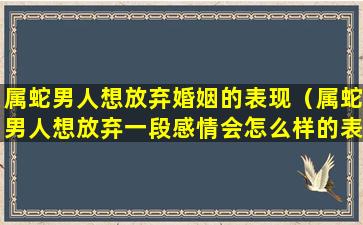 属蛇男人想放弃婚姻的表现（属蛇男人想放弃一段感情会怎么样的表现）