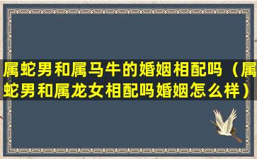 属蛇男和属马牛的婚姻相配吗（属蛇男和属龙女相配吗婚姻怎么样）