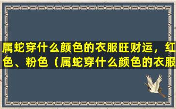 属蛇穿什么颜色的衣服旺财运，红色、粉色（属蛇穿什么颜色的衣服旺财运,红色,粉色）