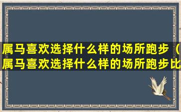 属马喜欢选择什么样的场所跑步（属马喜欢选择什么样的场所跑步比较好）