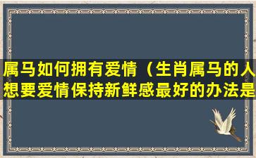 属马如何拥有爱情（生肖属马的人想要爱情保持新鲜感最好的办法是）