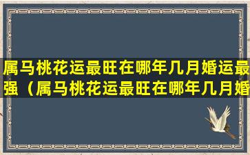 属马桃花运最旺在哪年几月婚运最强（属马桃花运最旺在哪年几月婚运最强壮）