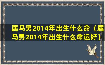 属马男2014年出生什么命（属马男2014年出生什么命运好）