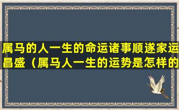 属马的人一生的命运诸事顺遂家运昌盛（属马人一生的运势是怎样的）