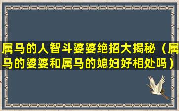 属马的人智斗婆婆绝招大揭秘（属马的婆婆和属马的媳妇好相处吗）