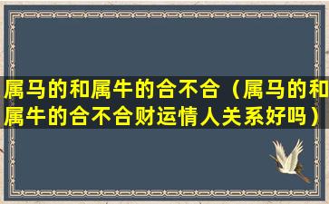 属马的和属牛的合不合（属马的和属牛的合不合财运情人关系好吗）