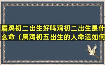 属鸡初二出生好吗鸡初二出生是什么命（属鸡初五出生的人命运如何）