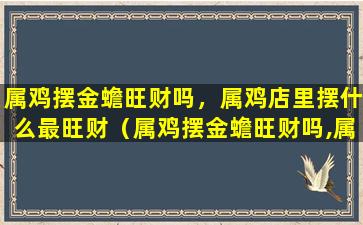 属鸡摆金蟾旺财吗，属鸡店里摆什么最旺财（属鸡摆金蟾旺财吗,属鸡店里摆什么最旺财呢）