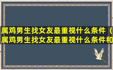 属鸡男生找女友最重视什么条件（属鸡男生找女友最重视什么条件和感情）