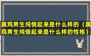 属鸡男生纯情起来是什么样的（属鸡男生纯情起来是什么样的性格）