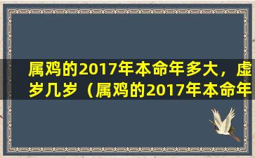 属鸡的2017年本命年多大，虚岁几岁（属鸡的2017年本命年多大,虚岁几岁了）