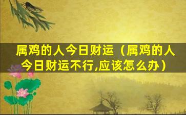 属鸡的人今日财运（属鸡的人今日财运不行,应该怎么办）