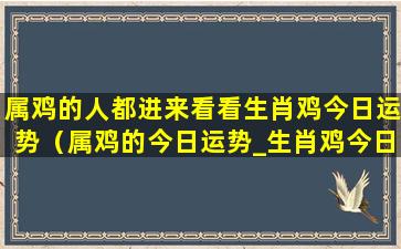 属鸡的人都进来看看生肖鸡今日运势（属鸡的今日运势_生肖鸡今日运程_属鸡人今日财运_事...）