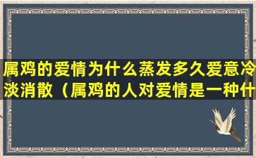 属鸡的爱情为什么蒸发多久爱意冷淡消散（属鸡的人对爱情是一种什么样的态度）