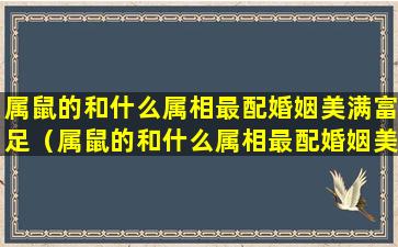 属鼠的和什么属相最配婚姻美满富足（属鼠的和什么属相最配婚姻美满富足女）