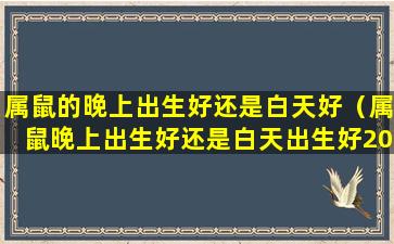 属鼠的晚上出生好还是白天好（属鼠晚上出生好还是白天出生好2020）