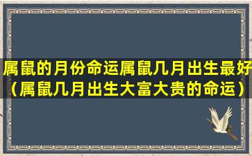 属鼠的月份命运属鼠几月出生最好（属鼠几月出生大富大贵的命运）