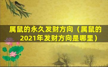 属鼠的永久发财方向（属鼠的2021年发财方向是哪里）