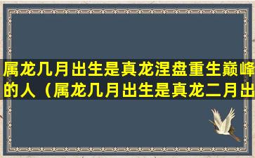 属龙几月出生是真龙涅盘重生巅峰的人（属龙几月出生是真龙二月出生好吗）