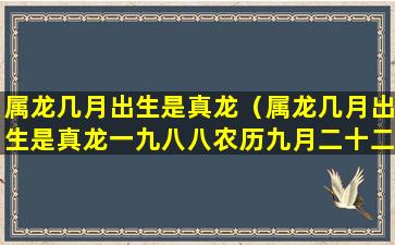 属龙几月出生是真龙（属龙几月出生是真龙一九八八农历九月二十二命运苦吗）