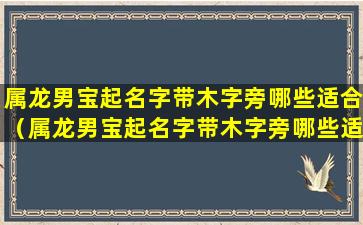 属龙男宝起名字带木字旁哪些适合（属龙男宝起名字带木字旁哪些适合女孩）