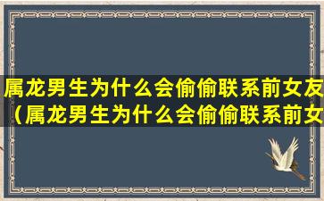 属龙男生为什么会偷偷联系前女友（属龙男生为什么会偷偷联系前女友呢）