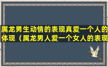 属龙男生动情的表现真爱一个人的体现（属龙男人爱一个女人的表现和举动）