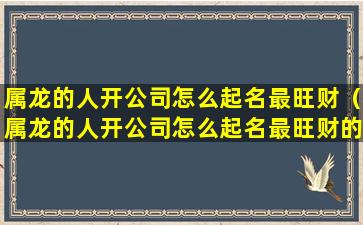 属龙的人开公司怎么起名最旺财（属龙的人开公司怎么起名最旺财的名字）