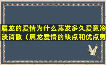 属龙的爱情为什么蒸发多久爱意冷淡消散（属龙爱情的缺点和优点男）