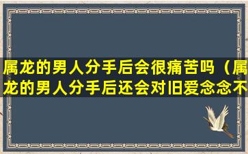 属龙的男人分手后会很痛苦吗（属龙的男人分手后还会对旧爱念念不忘吗）