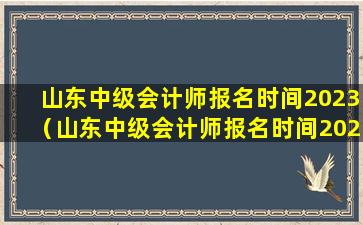 山东中级会计师报名时间2023（山东中级会计师报名时间2023下半年）