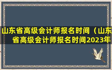 山东省高级会计师报名时间（山东省高级会计师报名时间2023年）