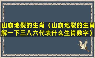 山崩地裂的生肖（山崩地裂的生肖解一下三八六代表什么生肖数字）