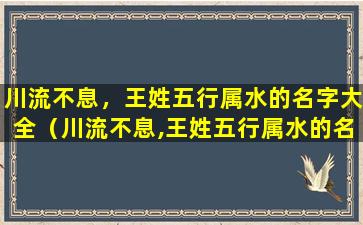 川流不息，王姓五行属水的名字大全（川流不息,王姓五行属水的名字大全）