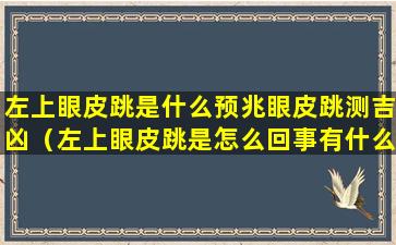 左上眼皮跳是什么预兆眼皮跳测吉凶（左上眼皮跳是怎么回事有什么预兆）