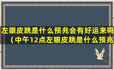 左眼皮跳是什么预兆会有好运来吗（中午12点左眼皮跳是什么预兆）