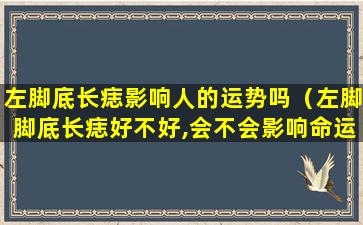 左脚底长痣影响人的运势吗（左脚脚底长痣好不好,会不会影响命运）