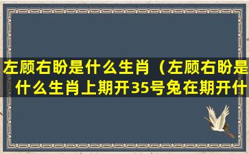 左顾右盼是什么生肖（左顾右盼是什么生肖上期开35号兔在期开什么）