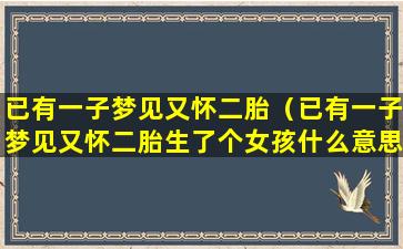 已有一子梦见又怀二胎（已有一子梦见又怀二胎生了个女孩什么意思）