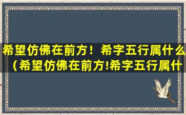 希望仿佛在前方！希字五行属什么（希望仿佛在前方!希字五行属什么意思）