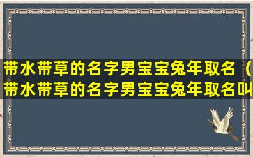 带水带草的名字男宝宝兔年取名（带水带草的名字男宝宝兔年取名叫什么）