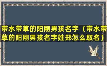 带水带草的阳刚男孩名字（带水带草的阳刚男孩名字姓郑怎么取名）