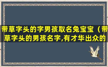 带草字头的字男孩取名兔宝宝（带草字头的男孩名字,有才华出众的意思）