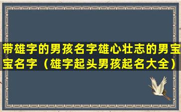 带雄字的男孩名字雄心壮志的男宝宝名字（雄字起头男孩起名大全）